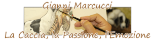 Logo Gianni Marcucci